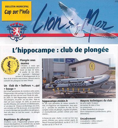 Lion-sur-mer ete 2010 (montage).jpg